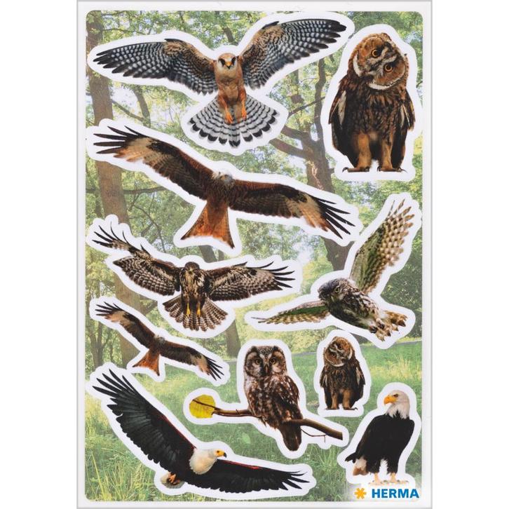 Vogel stickers - Roofvogels - Overig    - Kids Corner, Dieren en Toebehoren, Vogels | Toebehoren, Nieuw, Verzenden