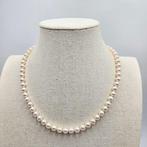Zonder minimumprijs - Halsketting Zilver Parel - Akoya 7,0, Nieuw