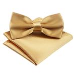 Fako Fashion® - Vlinderstrik Met Pochette - Vlinderdas -, Kleding | Heren, Verzenden, Nieuw