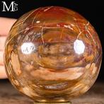 Gepolijste fossielhouten bol Pietrified Wood Sphere - Rood