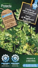 Protecta Kruiden zaden: Lavas of Maggikruid, Ophalen of Verzenden