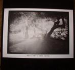 LP gebruikt - Barn Owl - Barn Owl / Tom Carter, Verzenden, Zo goed als nieuw