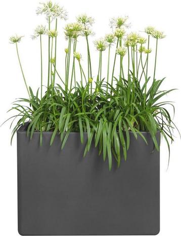 €250,- Elho plantenbak - Pure Soft Brick Divider Large 80 beschikbaar voor biedingen