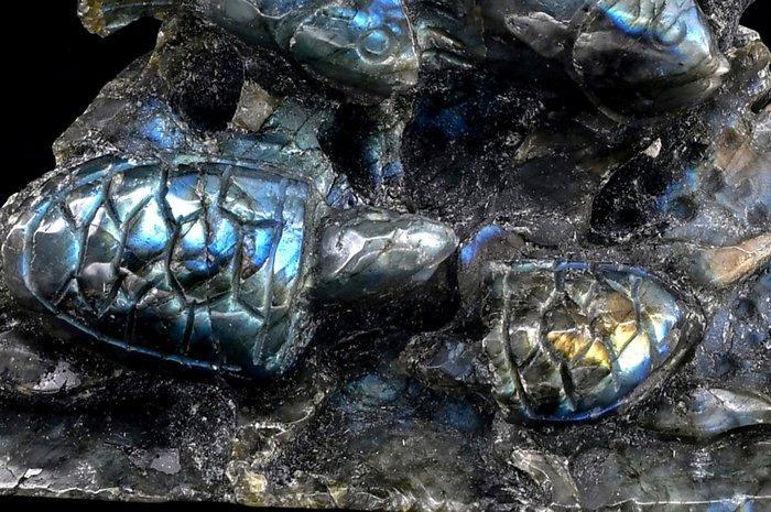 Wonderlijke labradoriet Zeebodem met vissen, schildpadden en, Verzamelen, Mineralen en Fossielen