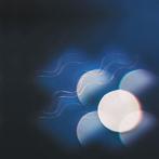 LP nieuw - Mutual Benefit - Thunder Follows The Light, Cd's en Dvd's, Vinyl | Pop, Verzenden, Nieuw in verpakking