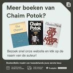 De troop-leraar 9789062917815 Chaim Potok, Boeken, Verzenden, Gelezen, Chaim Potok