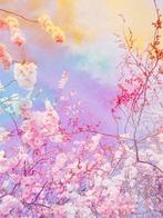 Viet Ha Tran - The colors of spring XI