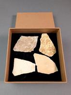 Aepyornis Ei-fragment - Fossiel fragment - Aepyornis maximus, Verzamelen, Mineralen en Fossielen