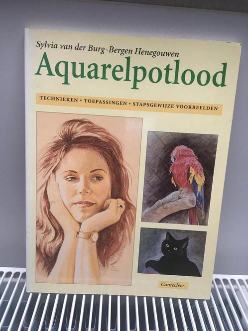 AQUARELPOTLOOD 9789021322926, Boeken, Hobby en Vrije tijd, Gelezen, Verzenden