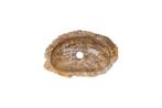 Fossiel Waskom 46x30x14 cm | Versteend Hout, Huis en Inrichting, Badkamer | Badkamermeubels, Verzenden, Nieuw, Wastafelkast