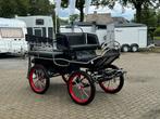 Enkelspan / Tweespan / Recreatiewagen / Glinkowski, Gebruikt, Paard