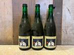 Cantillon - Gueuze 100% Lambic Bio 2015 - 75cl - 3 flessen, Nieuw