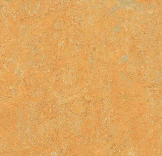 Forbo Marmoleum Real 3847 golden saffron, Huis en Inrichting, Stoffering | Vloerbedekking, Verzenden