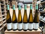 2024 Dr. Fischer - Hofstatter, Riesling Mosel Trocken -, Nieuw