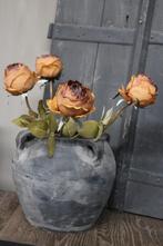 Brynxz sobere roos Brown 60 cm, Nieuw, Ophalen of Verzenden