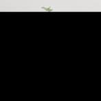 vidaXL Tv-wandmeubel 40x34,5x80 cm hoogglans wit, Minder dan 50 cm, Verzenden, Nieuw, Minder dan 100 cm