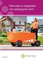 Methodiek en begeleiden voor pedagogisch werk 9789037244052, Boeken, Zo goed als nieuw