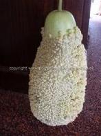 Verruqueuse de Maurice kalebas zaden, Hobby en Vrije tijd, Ophalen of Verzenden, Nieuw