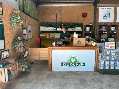Jonge tamme krielkippen hennen veel keus, gesekst en ingeënt, Dieren en Toebehoren, Pluimvee, Kip, Meerdere dieren
