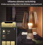 Philips Hue Slimme Lichtbron E27 Duopack zachtwit licht - 9W, Huis en Inrichting, Lampen | Overige, Ophalen of Verzenden, Zo goed als nieuw