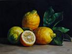 Francesco Parlato (XX-XXI) - Limoni di Sorrento