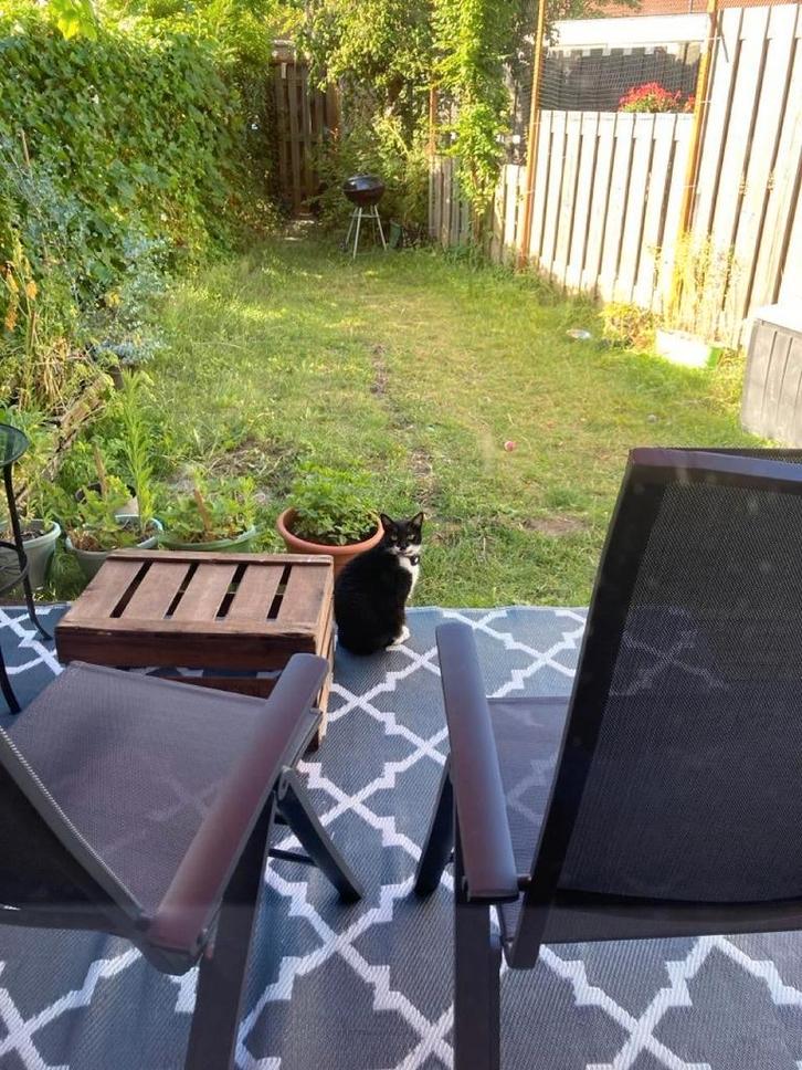 Te huur: Appartement Louis Elsevierstraat in Leiden, Huizen en Kamers, Huizen te huur, Zuid-Holland, Appartement