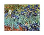 Kunstdruk Vincent Van Gogh - Iris 30x24cm, Verzenden, Nieuw