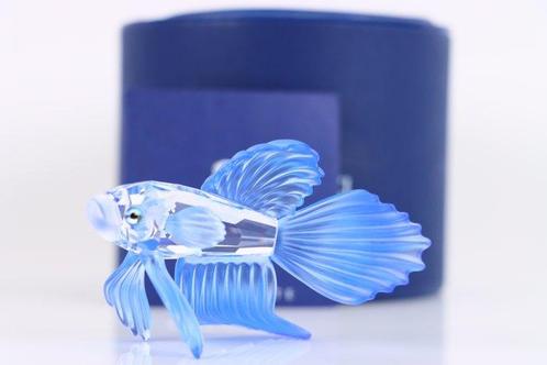 Figuur - Swarovski - Siamese Vechtvis Blauw (Boxed +, Antiek en Kunst, Curiosa en Brocante