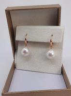 Oorbellen - 14 karaat Roségoud - 10x11mm Edison Pearls, Nieuw
