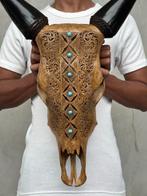 Geen reserveprijs - Grote bruine handgesneden koe schedel -