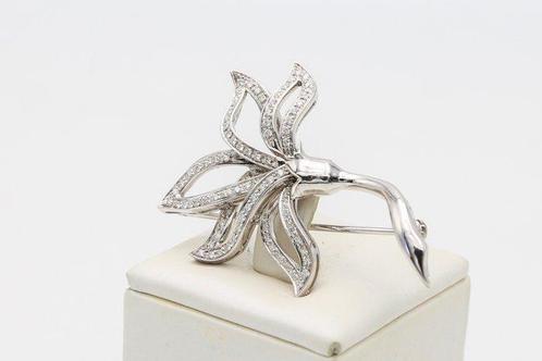 Broche - 18 karaat Witgoud Diamant (Natuurlijk), Sieraden, Tassen en Uiterlijk, Antieke sieraden