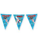 Geslaagd Slingers Carton 10m, Hobby en Vrije tijd, Feestartikelen, Verzenden, Nieuw