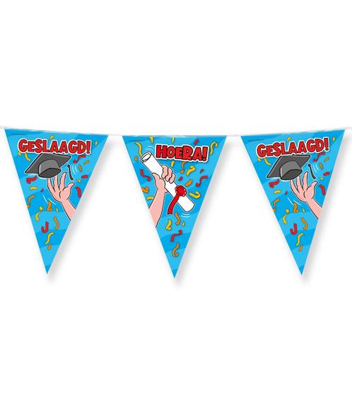 Geslaagd Slingers Carton 10m, Hobby en Vrije tijd, Feestartikelen, Nieuw, Verzenden