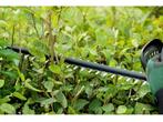 Bosch UniversalHedgeCut 18-50 Heggenschaar - Zonder 18V accu, Verzenden, Zo goed als nieuw
