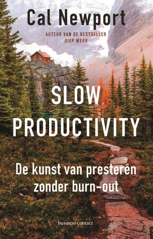 9789047017752 Slow productivity | Tweedehands, Boeken, Economie, Management en Marketing, Zo goed als nieuw, Verzenden