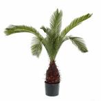 Kunstplant palm groen in zwarte ronde pot 110 cm  - Overig.., Ophalen of Verzenden