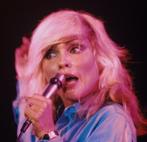 Gijsbert Hanekroot - Blondie, 1978, Nijmegen, Netherlands