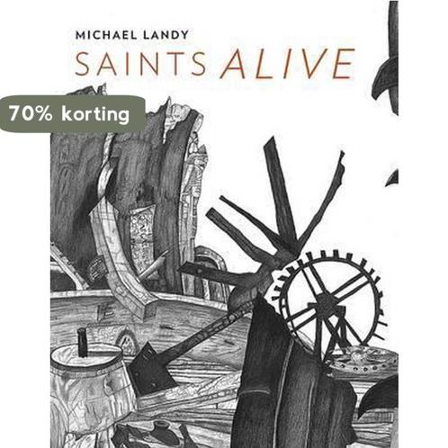 Michael Landy 9781857095609 Colin Wiggins, Boeken, Overige Boeken, Zo goed als nieuw, Verzenden