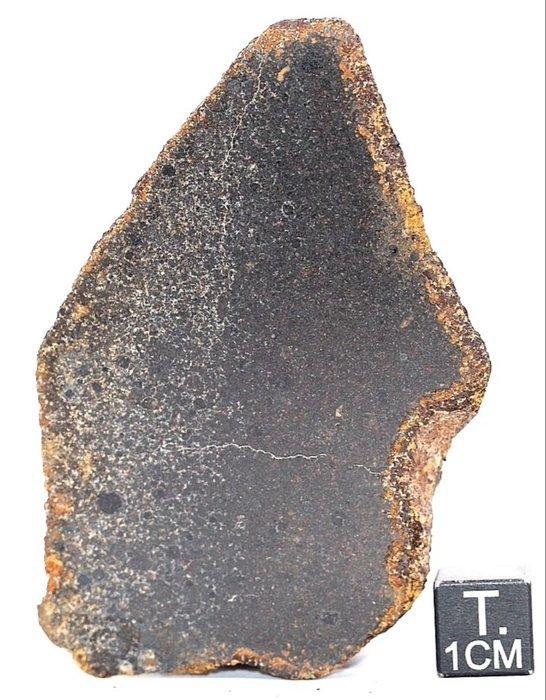 NWA 15581 CK5 Carbonaceous chondrite meteorite - 44 g - (1), Verzamelen, Mineralen en Fossielen