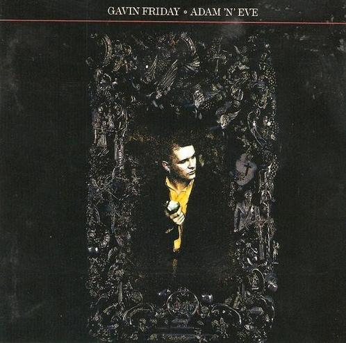 cd - Gavin Friday - Adam n Eve, Cd's en Dvd's, Cd's | Overige Cd's, Zo goed als nieuw, Verzenden