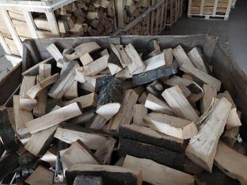 Haagbeuk haardhout, grote blokken beschikbaar voor biedingen