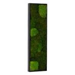 Vintlux Mosschilderij 15x60 cm Zwart - Holstebro, Nieuw