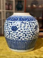 Blauw-witte pot met lotuspatroon geschilderd -  -