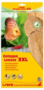 Sera Catappa Leaves XXL 10 stuks, Dieren en Toebehoren, Vissen | Aquaria en Toebehoren, Ophalen of Verzenden, Nieuw