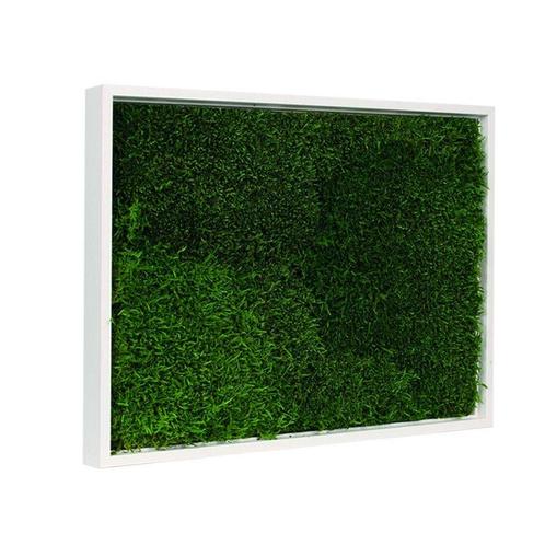 Vintlux Mosschilderij Lappenmos Gebroken Wit, Huis en Inrichting, Woonaccessoires | Wanddecoraties