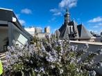 Te huur: Appartement Gedempte Gracht in Den Haag, Den Haag, Appartement, Zuid-Holland