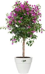 2dekans | Elho Vibia Campana Rond 35 - Bloempot voor Buiten, Tuin en Terras, Bloempotten, Ophalen of Verzenden, Zo goed als nieuw