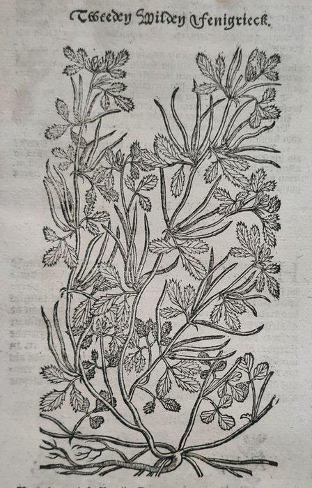 Rembertus Dodonaeus - 38 houtsnedes uit het Cruydt-boeck, Antiek en Kunst, Antiek | Boeken en Bijbels