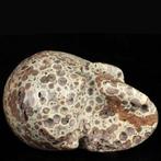 369 g 8,80 x 6,50 cm Asteroid-Jaspis Bewaker van de, Verzamelen