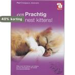 Een prachtig nest kittens! / Over Dieren / 0028 P. Overgaauw, Verzenden, Gelezen, P. Overgaauw